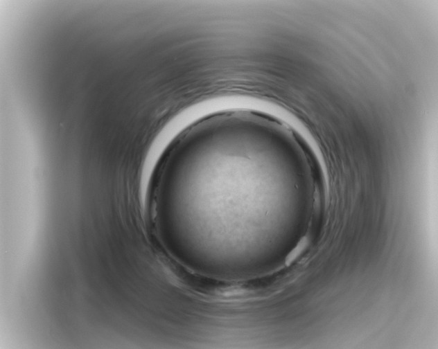 X0000116160219200911301608