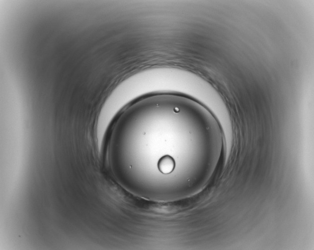 X0000116160221200911301608