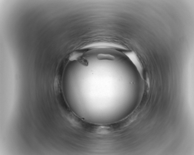 X0000116160222200911301608