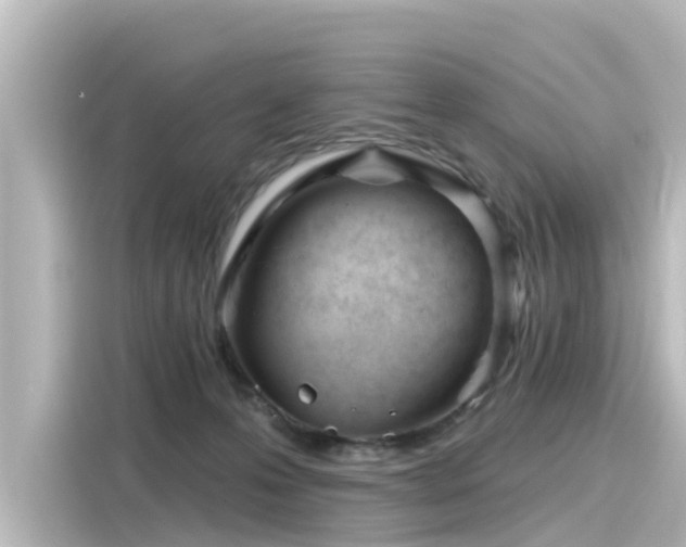 X0000116160223200911301608