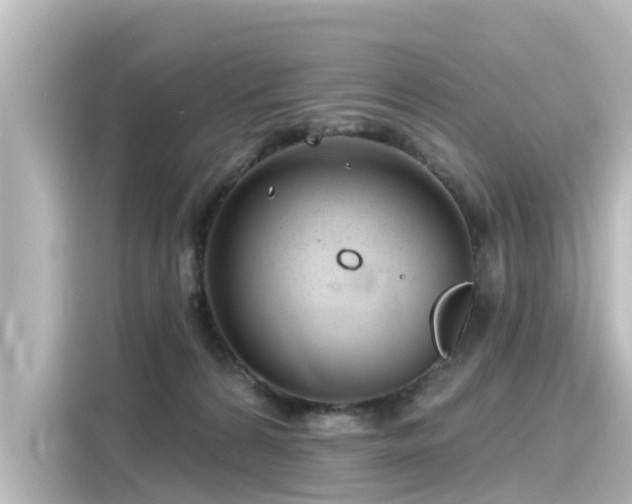 X0000116160224200911301608