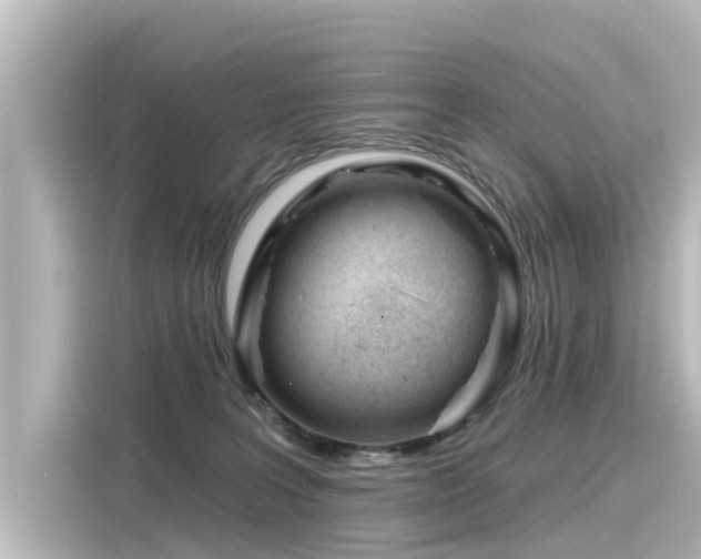 X0000116160227200911301608