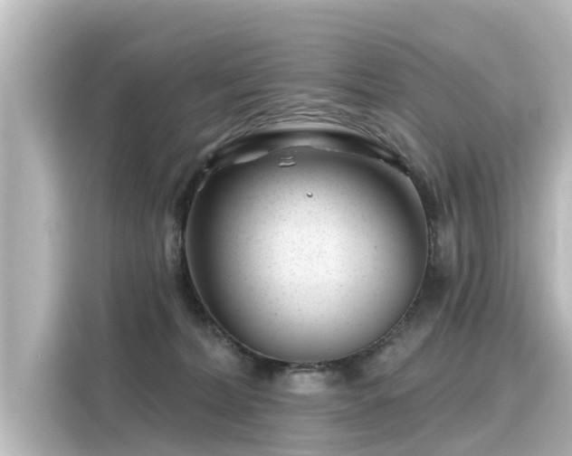 X0000116160228200911301608