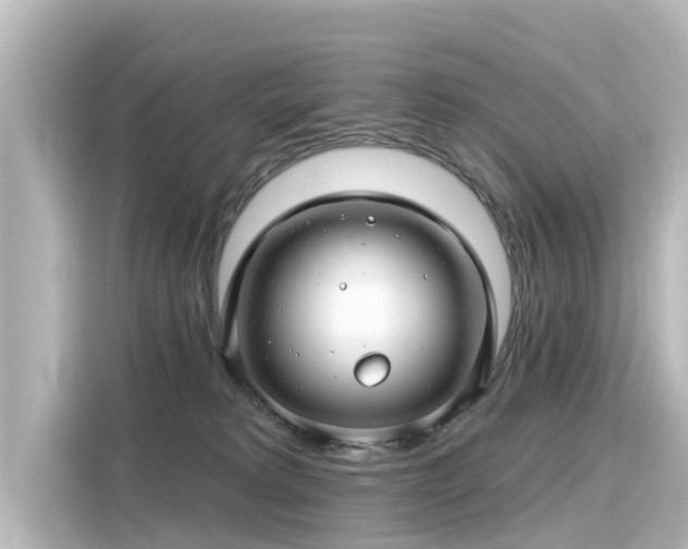 X0000116160229200911301608