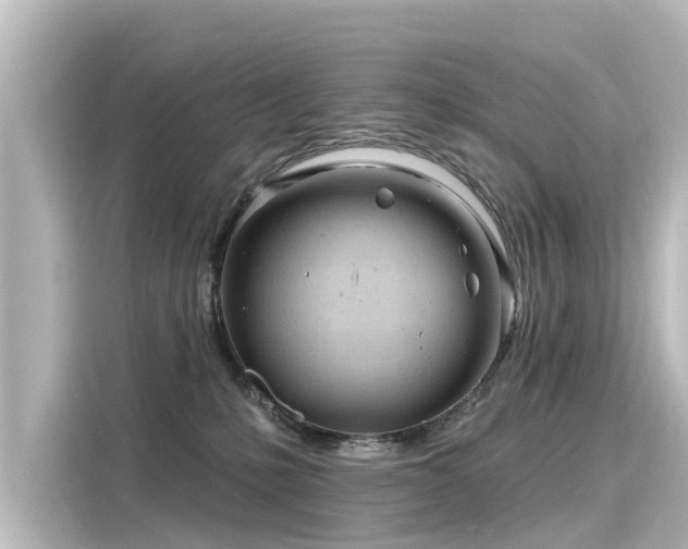 X0000116160231200911301608