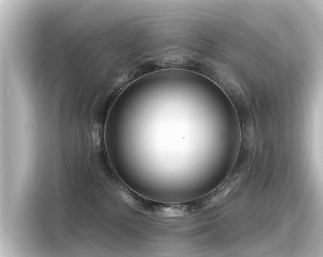 X0000116160232200911301608