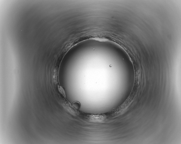 X0000116160234200911301608