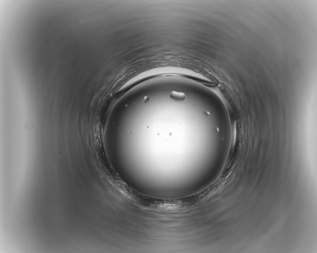 X0000116160236200911301608