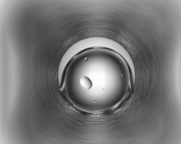 X0000116160237200911301608