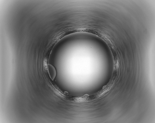 X0000116160238200911301608