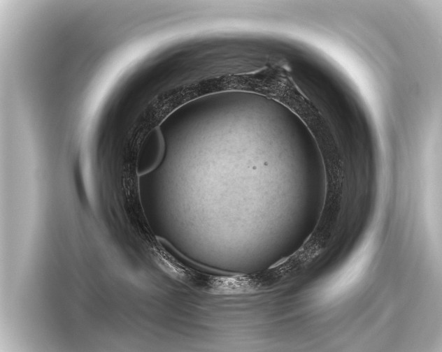 X0000116160239200911301608