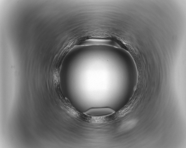 X0000116160240200911301608