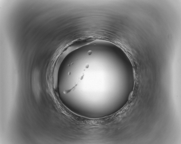 X0000116160241200911301607