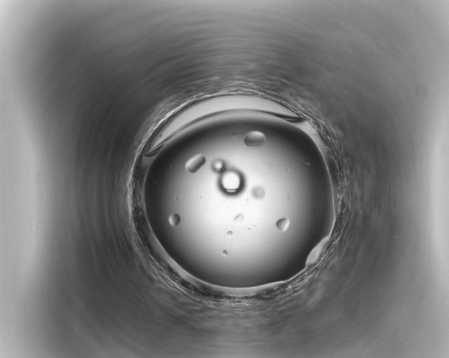 X0000116160242200911301607