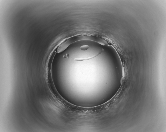 X0000116160243200911301607