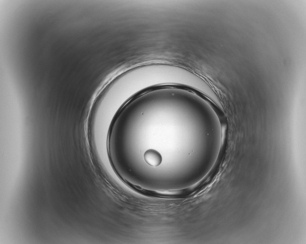 X0000116160244200911301607