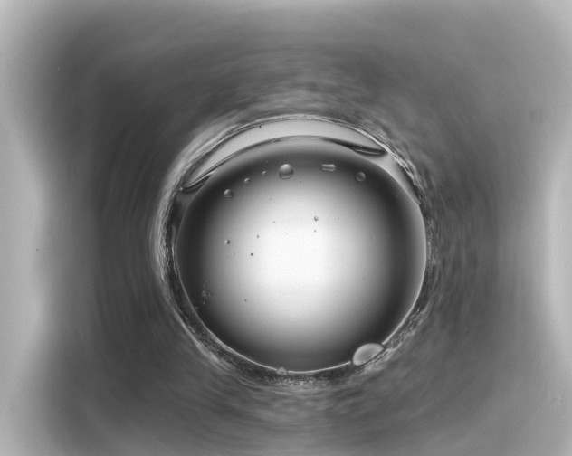 X0000116160245200911301607