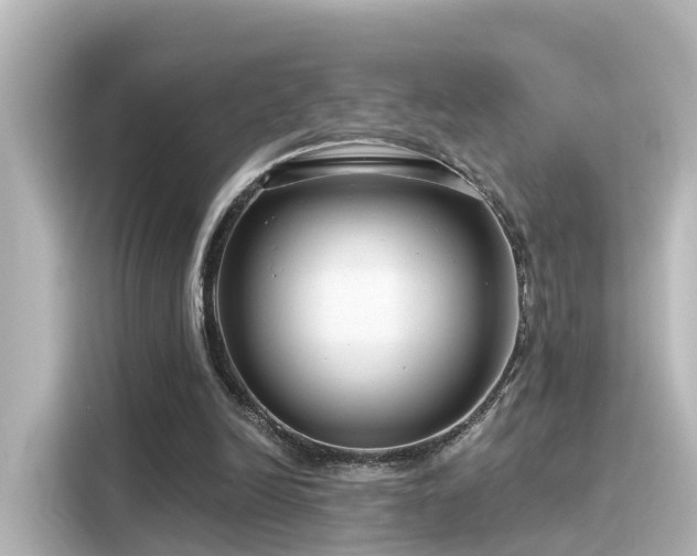 X0000116160246200911301607