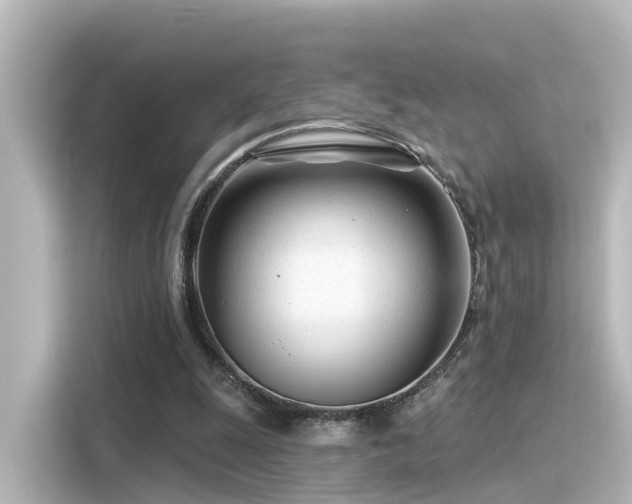 X0000116160247200911301608