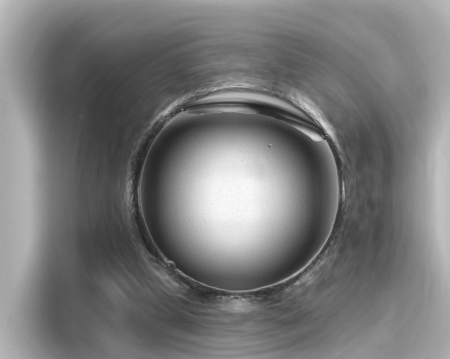 X0000116160249200911301608