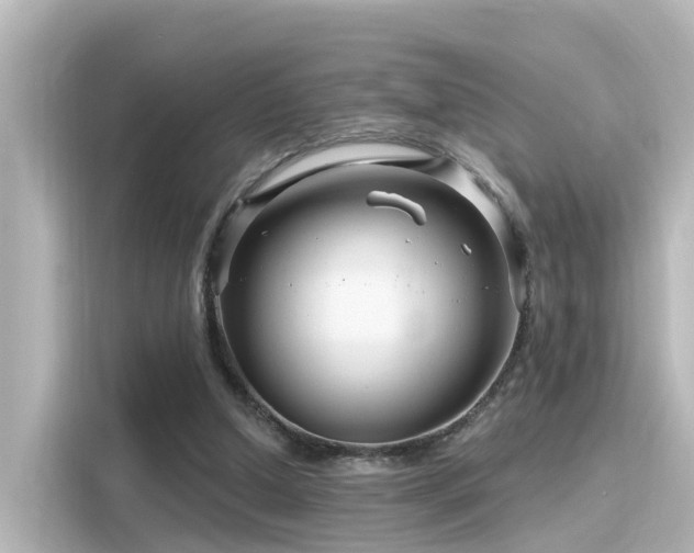 X0000116160250200911301608