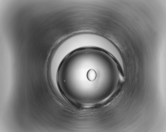 X0000116160252200911301608