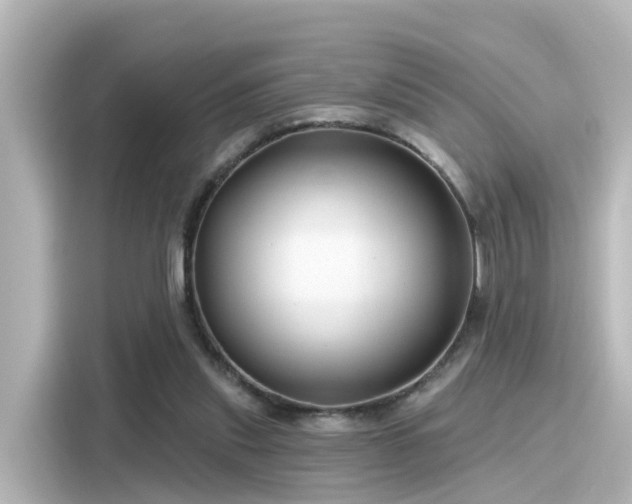 X0000116160253200911301608