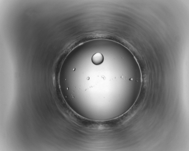 X0000116160254200911301608