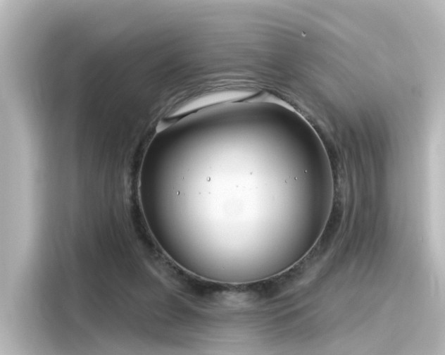 X0000116160255200911301608