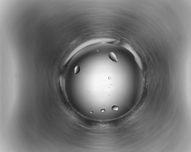 X0000116160260200911301608