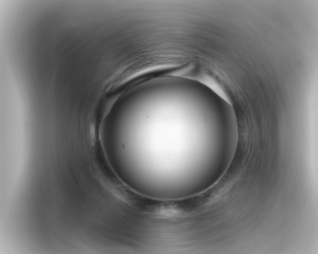 X0000116160262200911301608