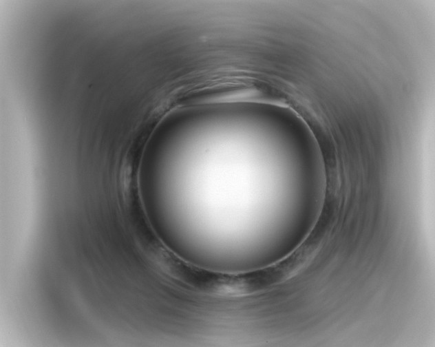 X0000116160263200911301608