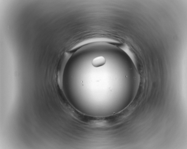 X0000116160266200911301608