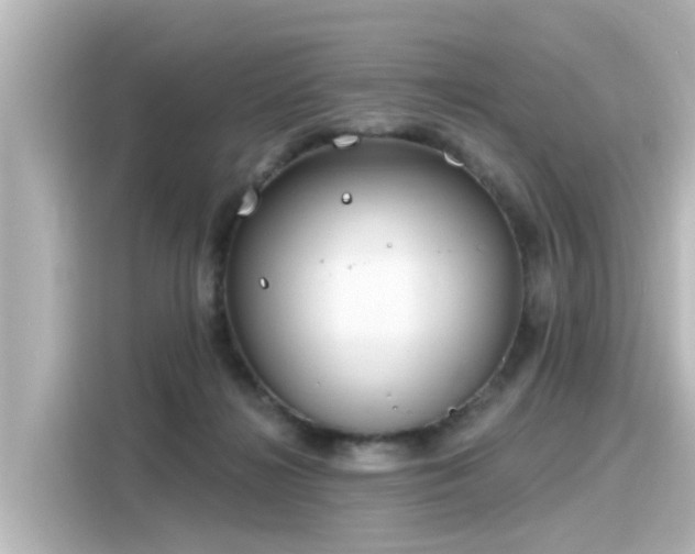 X0000116160268200911301608