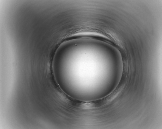 X0000116160269200911301608