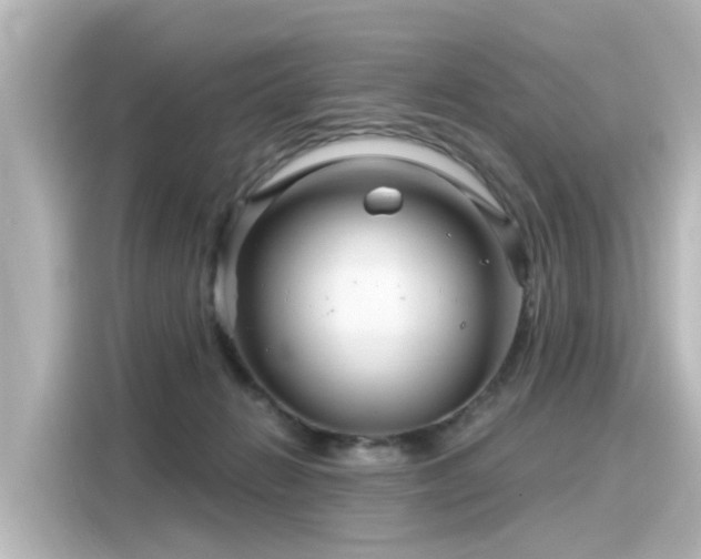 X0000116160270200911301608