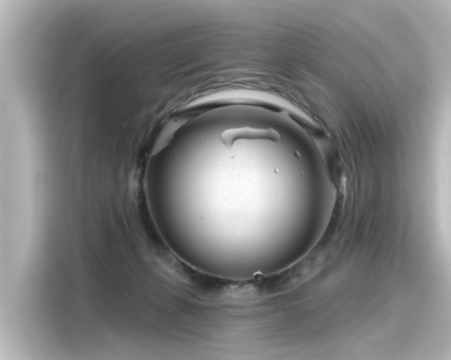 X0000116160271200911301608