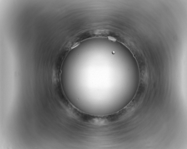 X0000116160272200911301608