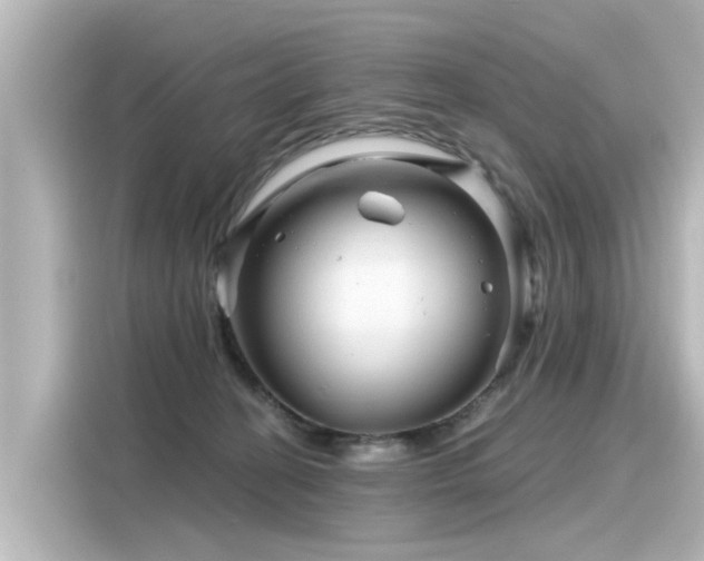 X0000116160274200911301608