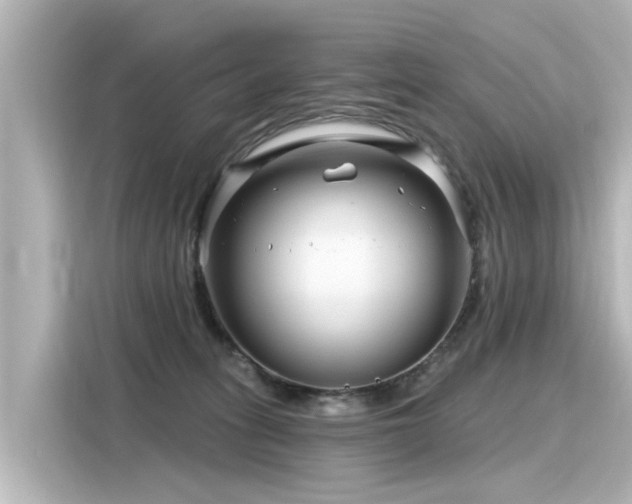 X0000116160275200911301608