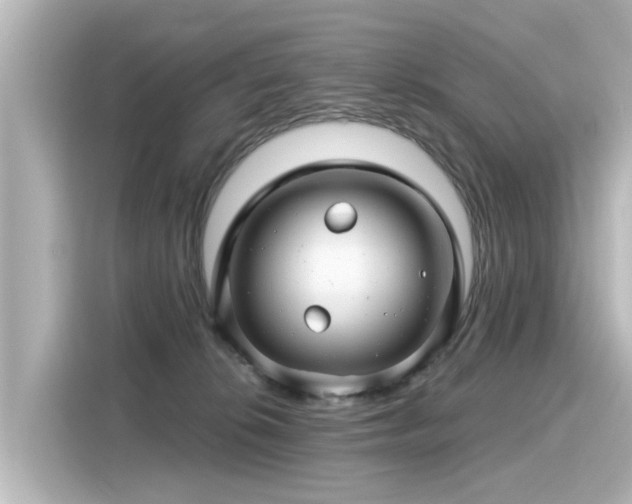 X0000116160276200911301608