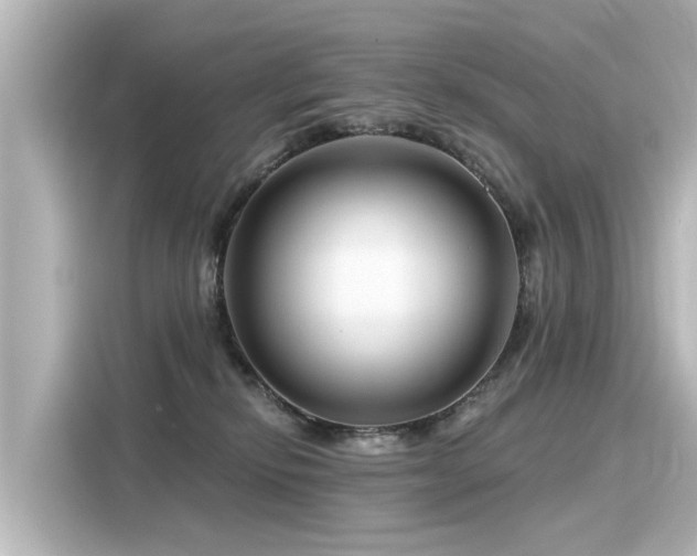 X0000116160278200911301608