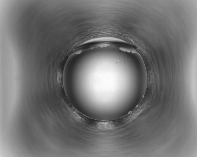 X0000116160281200911301608