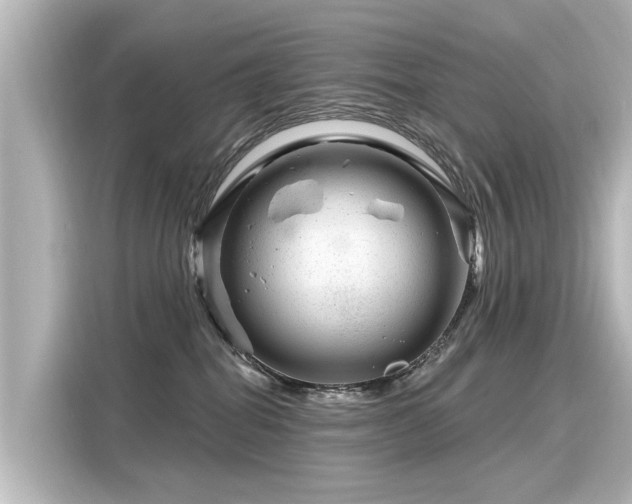 X0000116160282200911301608