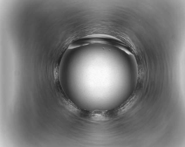 X0000116160285200911301608