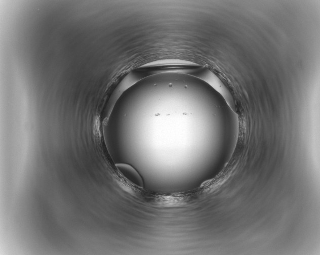 X0000116160286200911301608