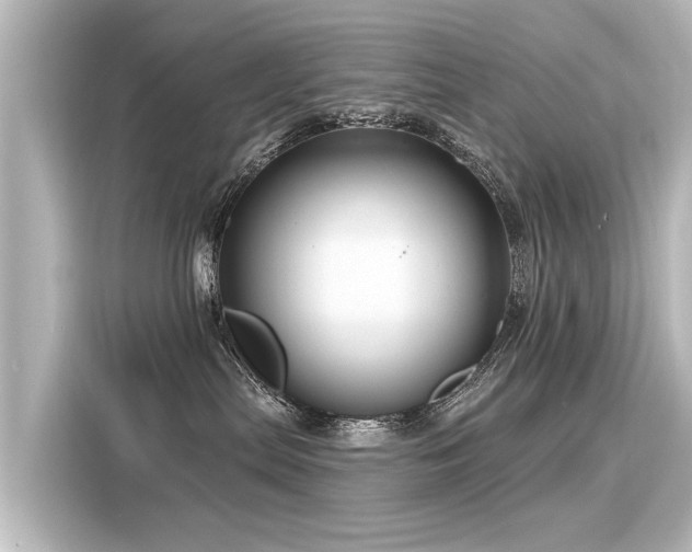 X0000116160287200911301608