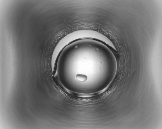 X0000116160288200911301608