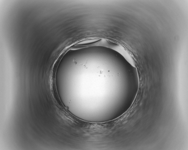 X0000116160290200911301607