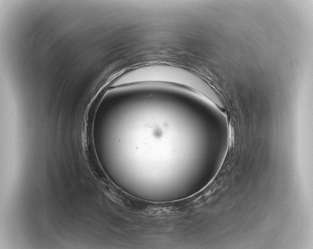 X0000116160291200911301607